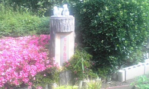 A.山法師の物件内観写真