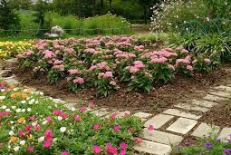 シャトー日光園の物件内観写真