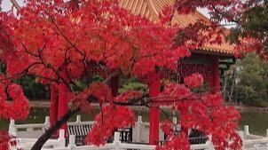 フィオーレデローベストの物件内観写真