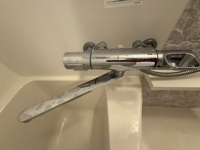 エスリード大阪梅田リュクスの物件内観写真