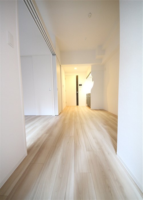 セレニテ堺筋本町リアンの物件内観写真