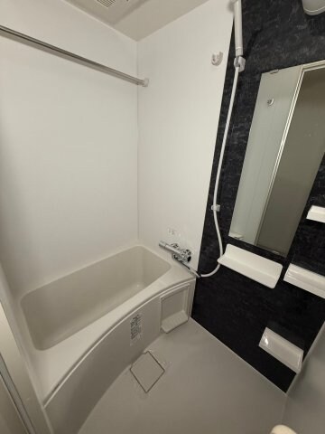 セレニテ日本橋ミラクの物件内観写真