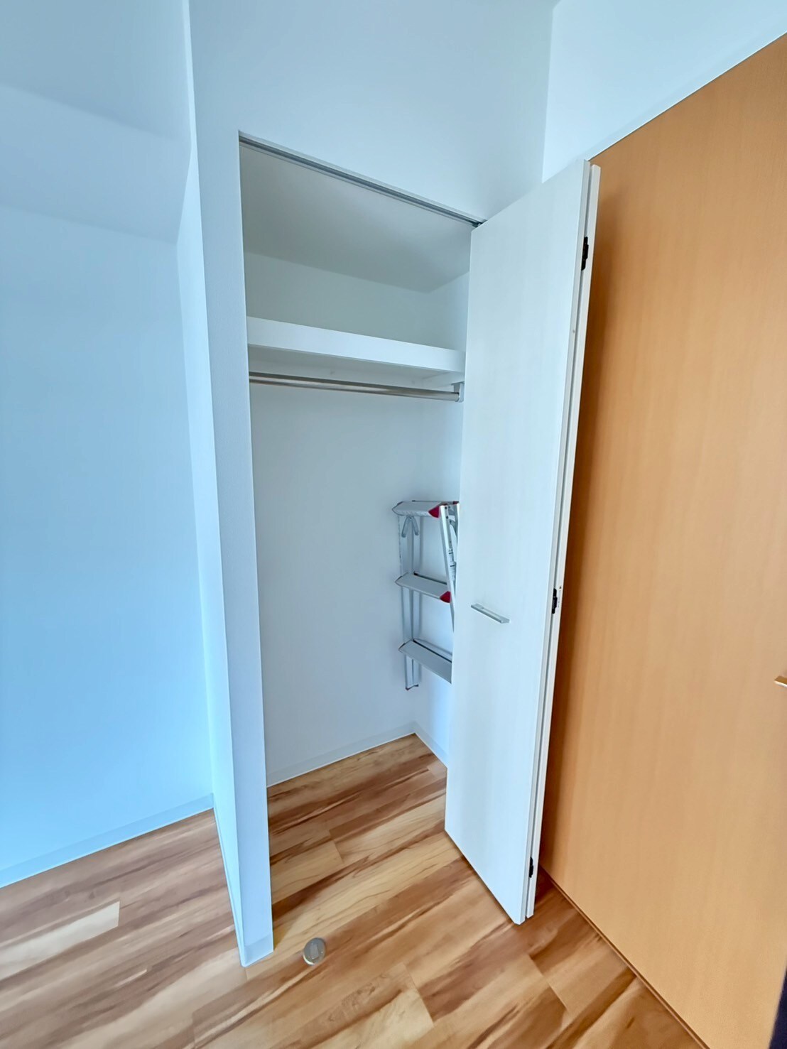 セレニテ本町グランデの物件内観写真