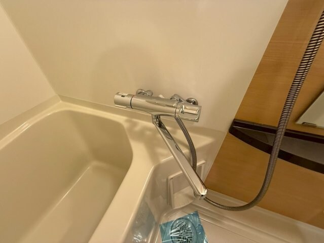 セレニテ本町グランデの物件内観写真