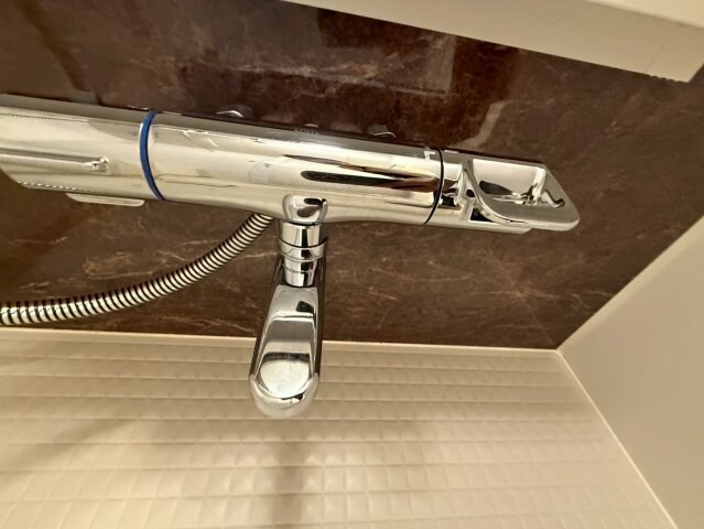 ザ・パークハビオ天満橋の物件内観写真