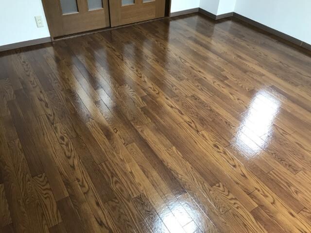 ラフィーヌ上野田の物件内観写真