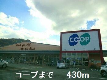 メゾン・アルテミスの物件内観写真