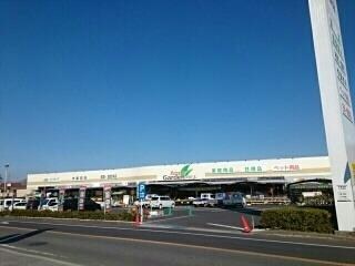 レジーナ　オノの物件内観写真