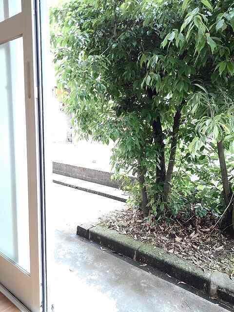 フローレンスの物件内観写真