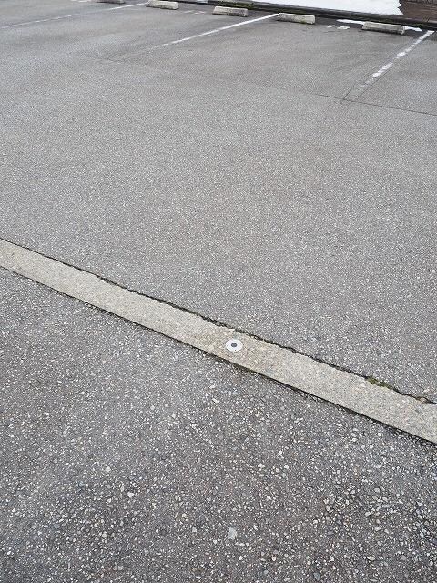 リバーサイド・ドリームVの物件外観写真