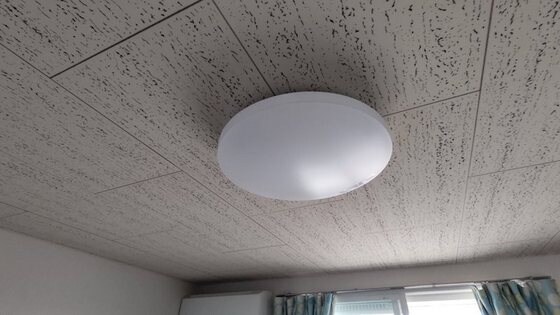 大安寺駅 徒歩18分 2階の物件内観写真