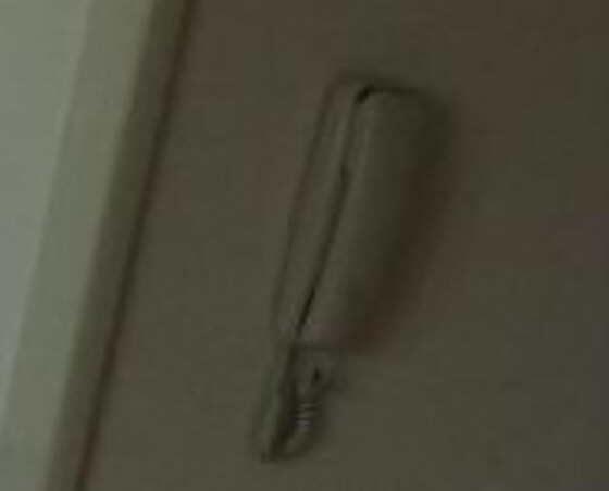 メゾンサンシャインBの物件内観写真