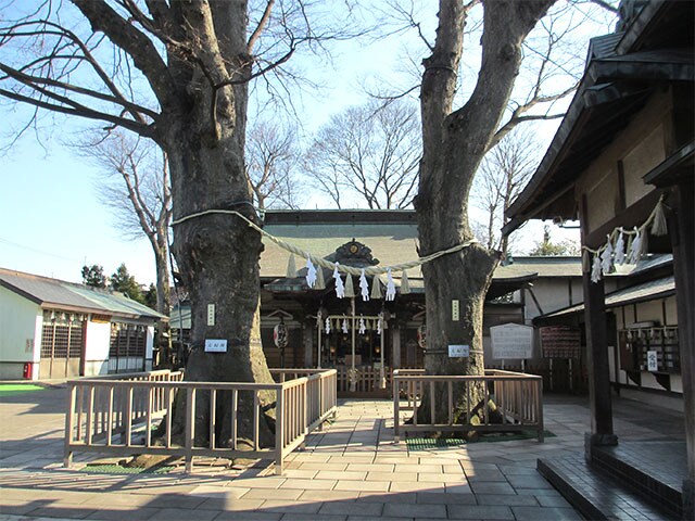 ヴィラ・トリアノンの物件内観写真