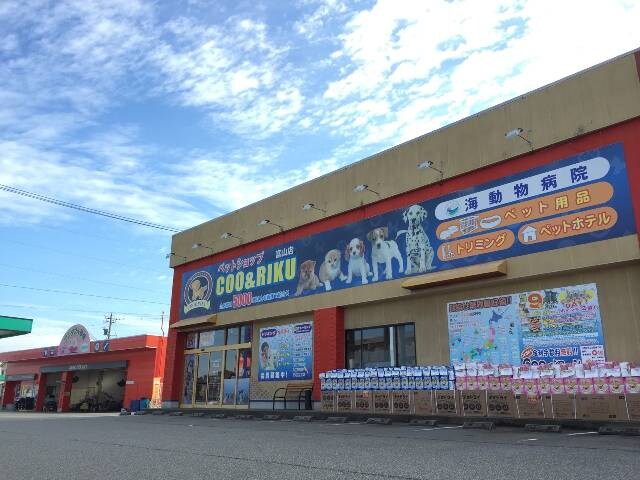 ファーストⅢの物件内観写真