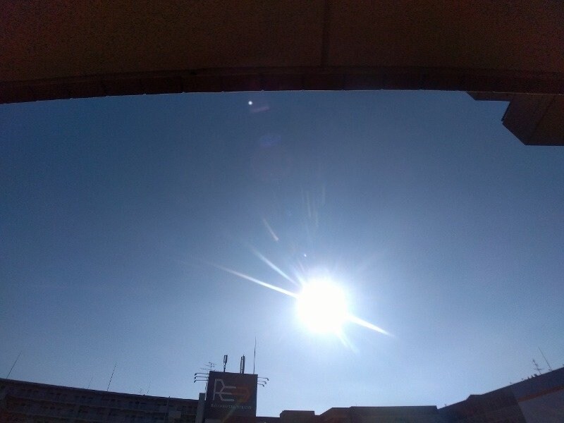 三国駅 徒歩7分 5階の物件内観写真