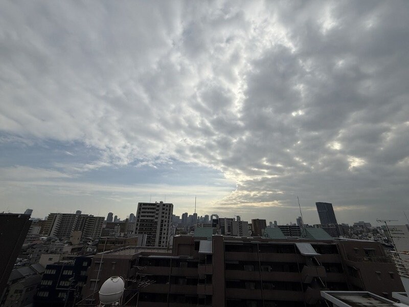 南方駅 徒歩12分 10階の物件内観写真