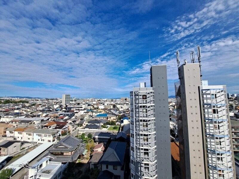 庄内駅 徒歩5分 10階の物件内観写真