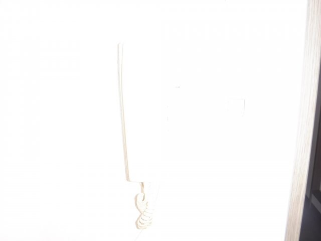 ガーラ武蔵小杉の物件内観写真