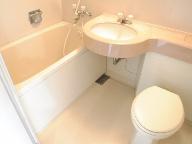 germer武蔵中原の物件内観写真