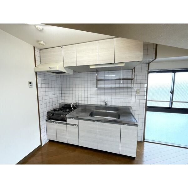 ヴィアーレマルフク南館の物件内観写真