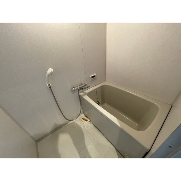 ヴィアーレマルフク南館の物件内観写真