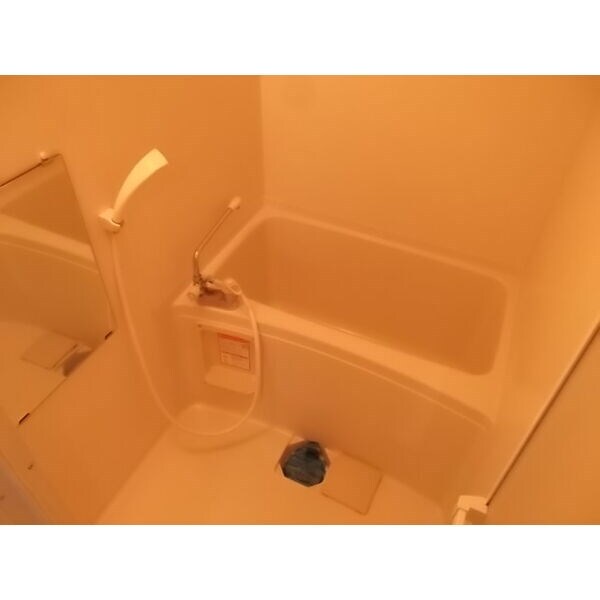 妙音通駅 徒歩3分 3階の物件内観写真