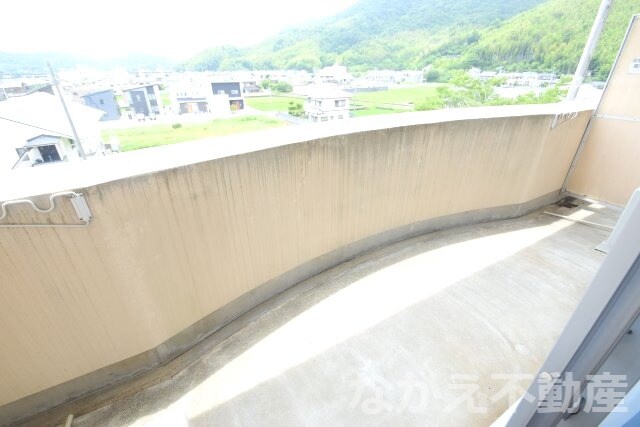 阿波橘駅 徒歩12分 4階の物件内観写真