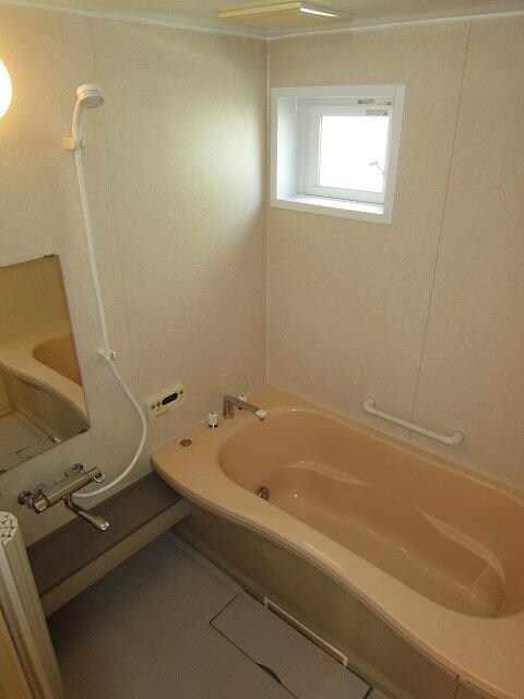 リビングタウン盛南　Ａの物件内観写真