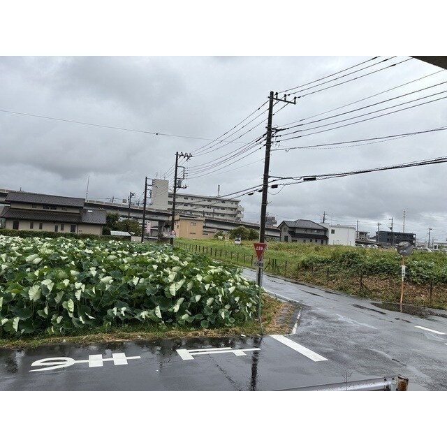 サンシャイン新真鍋の物件内観写真