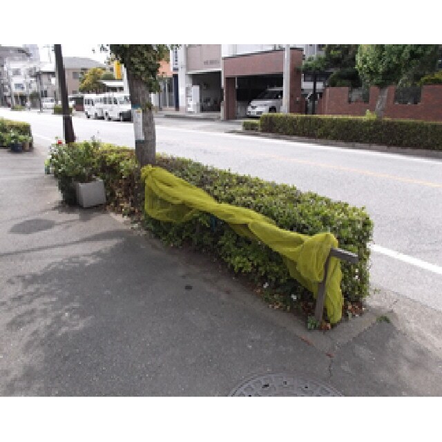 ヒルズ川口Ａ　旧澤田ハイツＡ号棟の物件外観写真