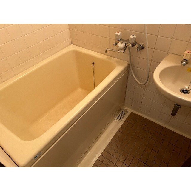 ニューパレス馬橋の物件内観写真