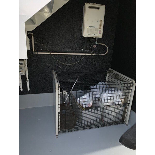 スターハイツの物件外観写真