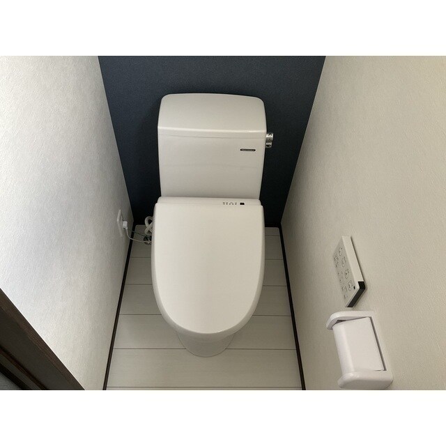 ANIMAL KINGDOMの物件内観写真