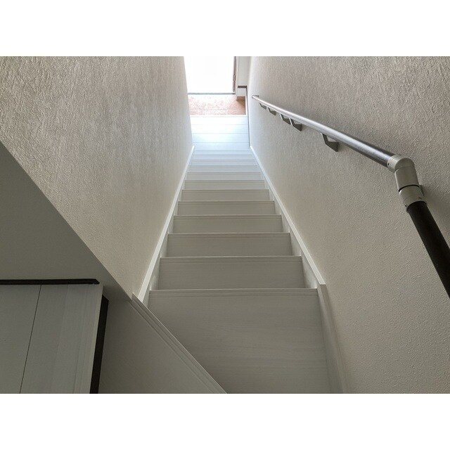 ANIMAL KINGDOMの物件内観写真