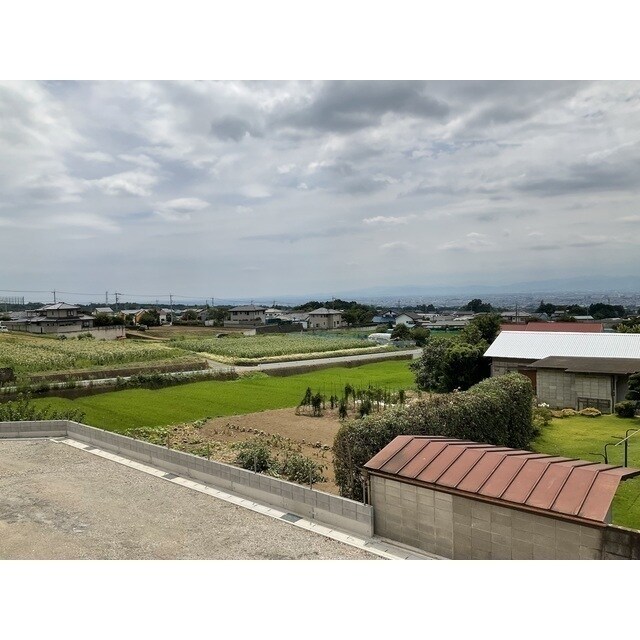 ANIMAL KINGDOMの物件内観写真