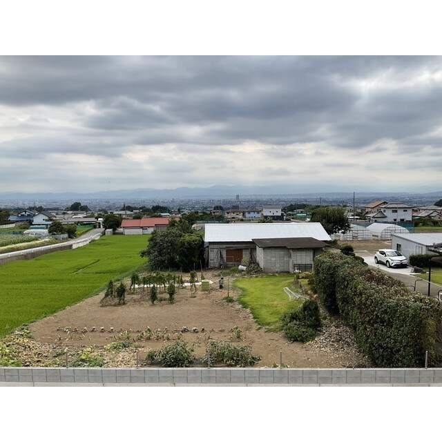 ANIMAL KINGDOMの物件内観写真