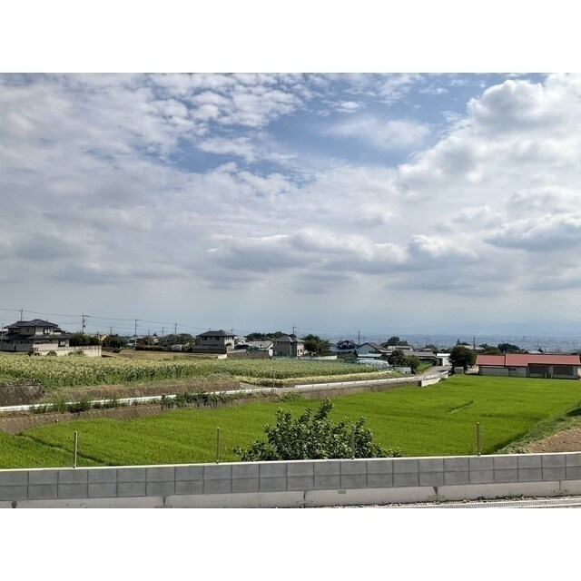 ANIMAL KINGDOMの物件内観写真