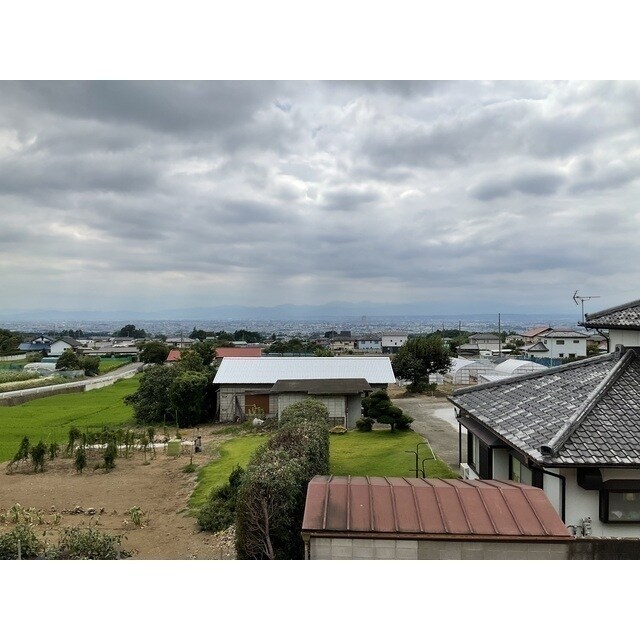 ANIMAL KINGDOMの物件内観写真