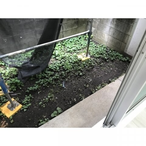 リエス伊勢原の物件内観写真