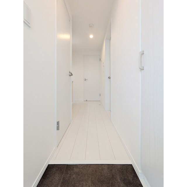 MQuarto柏Ⅲの物件内観写真