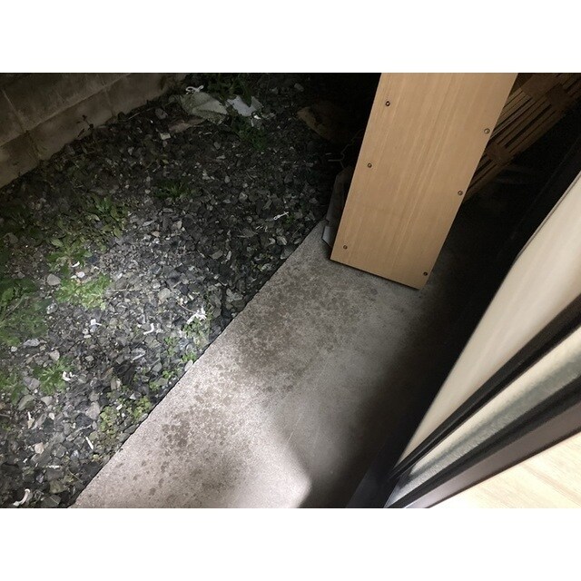 アマリリスの物件内観写真