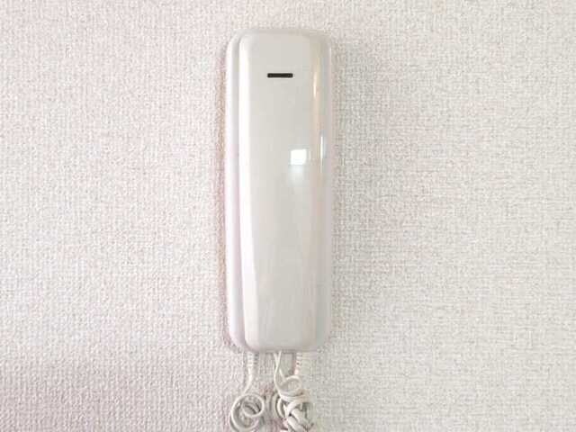 亀山駅 徒歩10分 1階の物件内観写真