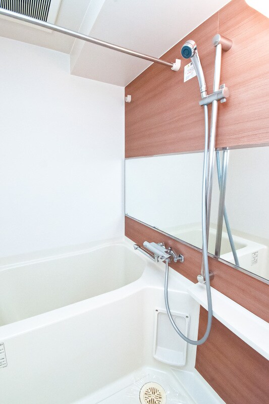 サヴォイザ・パームストリートの物件内観写真