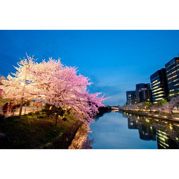 赤坂駅 徒歩10分 2階の物件内観写真