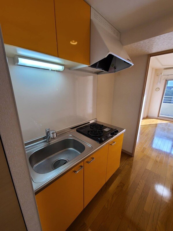 サヴォイ ザ・パームストリートの物件内観写真