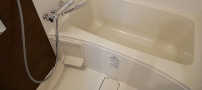 サヴォイ ザ・パームストリートの物件内観写真