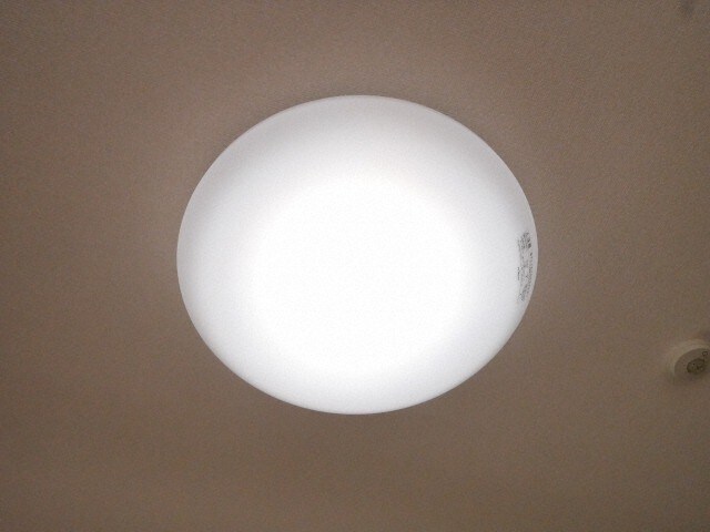 中洲川端駅 徒歩12分 6階の物件内観写真