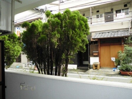 立花駅 徒歩4分 1階の物件内観写真