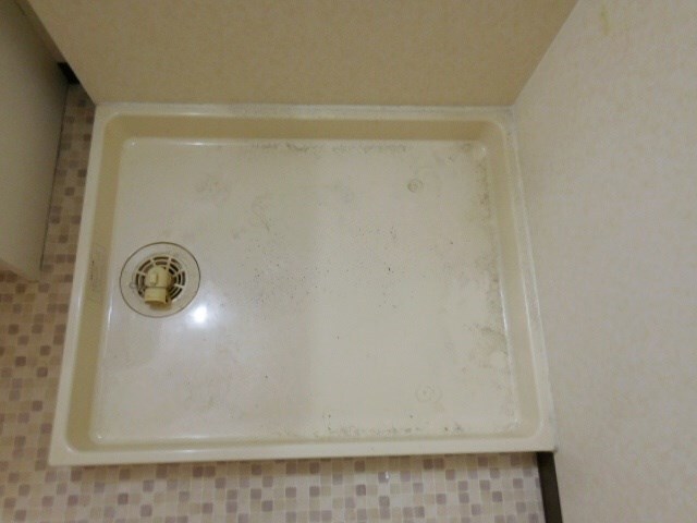 立花駅 徒歩13分 3階の物件内観写真