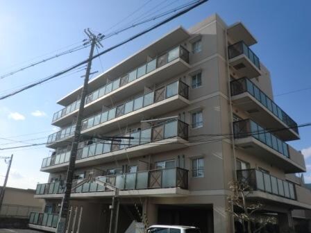 塚口駅 徒歩15分 5階の物件外観写真